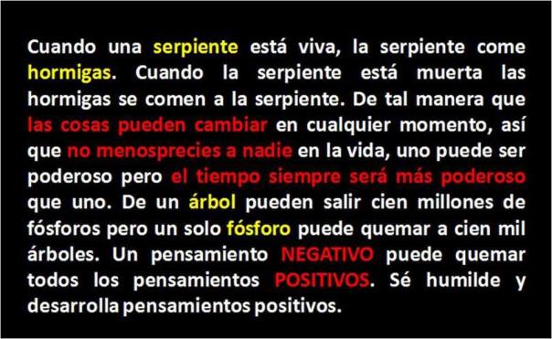 Un pensamiento negativo puede quemar todos los pensamientos positivos.
