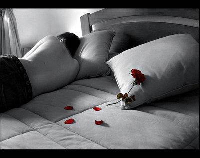 soledadhombrecamarosa